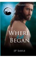 Where it all Began: Manx Cat Guardians Origins(1 Manx Cat Guardians)