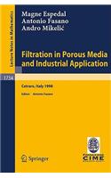 Filtration in Porous Media and Industrial Application