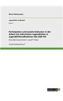 Partizipation und soziale Exklusion in der Arbeit mit männlichen Jugendlichen in Jugendhilfemaßnahmen des SGB VIII