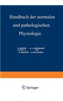 Nachträge Und Generalregister