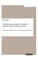 The fundamental rights of irregular migrants in the European Union