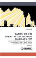 Carbon Dioxide Sequestration Into Deep Saline Aquifers
