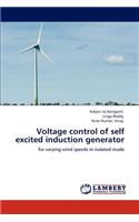 Voltage control of self excited induction generator