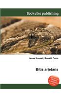Bitis Arietans