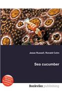 Sea Cucumber