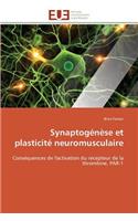 Synaptog�n�se Et Plasticit� Neuromusculaire