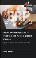 Fattori che influenzano la crescita delle micro e piccole imprese