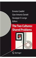 Two Cultures: Shared Problems