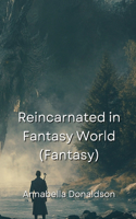 Reincarnated in Fantasy World (Fantasy)