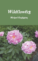 Wildflowers
