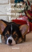 Your new Little Friend Wants you to Color Him