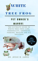 White Tree Frog