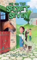 Fun For The Secret Seven: Book 15(Secret Seven)