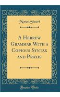 A Hebrew Grammar With a Copious Syntax and Praxis (Classic Reprint)