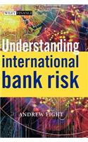 Understanding International Bank Risk