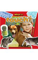 What Is Touch?