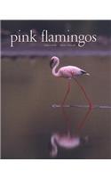 Pink Flamingos