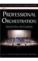 Professional Orchestration 16-Stave Ruled Orchestral Sketchbook