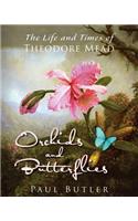 Orchids and Butterflies