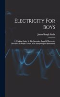 Electricity For Boys: A Working Guide, In The Successive Steps Of Electricity, Described In Simple Terms, With Many Original Illustrations