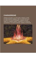 Charadriidae