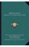 Mollusca