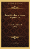 Report of a Tour in Eastern Rajputana V6