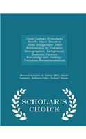 Child Custody Evaluators' Beliefs about Domestic Abuse Allegations