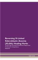 Reversing X-Linked Sideroblastic Anemia