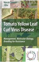 Tomato Yellow Leaf Curl Virus Disease