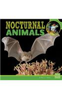 Nocturnal Animals