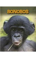 Bonobos