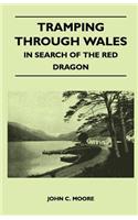 Tramping Through Wales - In Search of the Red Dragon