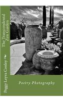Transcendental Zen Garden