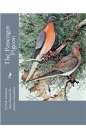 The Passenger Pigeon