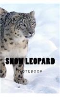 Snow Leopard