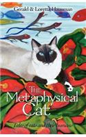 Metaphysical Cat