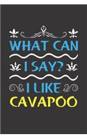What Can I Say? I Like Cavapoo