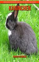 Kaninchen: Erstaunliche Bilder und lustige Fakten für Kinder