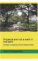 Projects are not a walk in the park