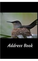 Address Book