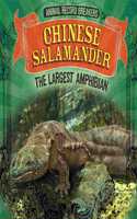Chinese Salamander: The Largest Amphibian: (Animal Record Breakers)