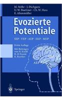 Evozierte Potentiale: Sep-Vep-Aep-Ekp-Mep