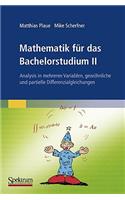 Mathematik Für Das Bachelorstudium II