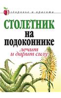 Столетник на подоконнике: ????? ? ????? ????(Russian)