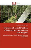 Synth?se Et Caract?risation D ?lectrolytes Conducteurs Protoniques