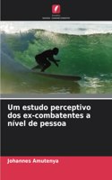Um estudo perceptivo dos ex-combatentes a nível de pessoa