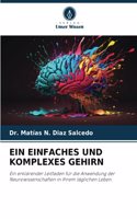 Ein Einfaches Und Komplexes Gehirn