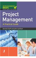 Management Briefs: Project Management : A Practical Guide