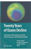Twenty Years of Ozone Decline